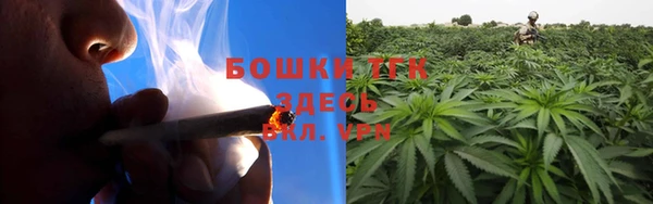 PSILOCYBIN Бронницы