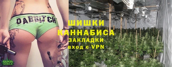 PSILOCYBIN Бронницы